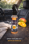 Spray d'Ambiance Voiture Prady – Mangue | 100 ml
